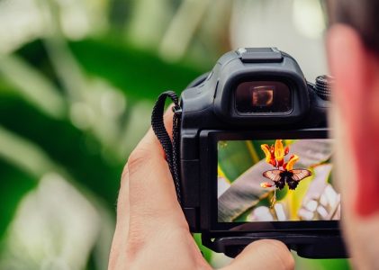 Fotografi som terapeutiskt verktyg – så kan fotografering främja psykiskt välbefinnande