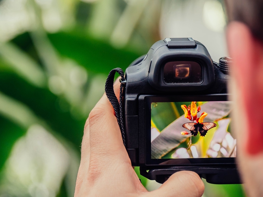 Fotografi som terapeutiskt verktyg – så kan fotografering främja psykiskt välbefinnande